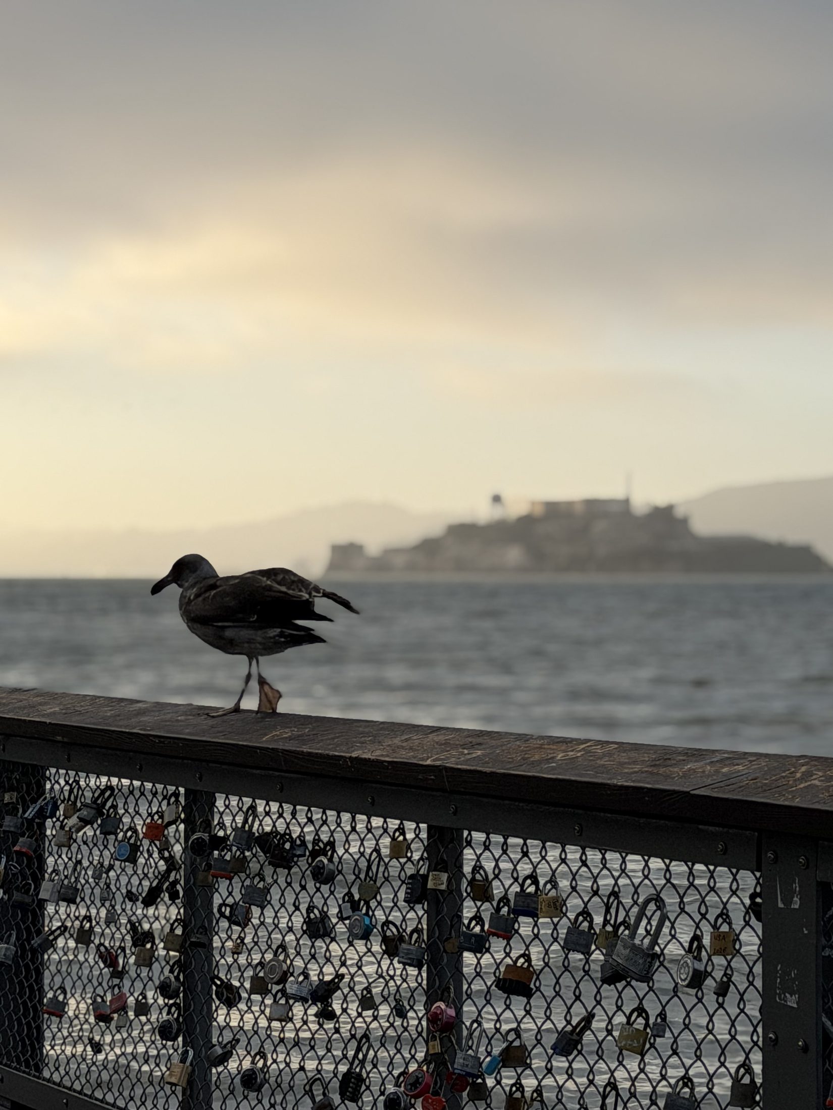 The watcher.