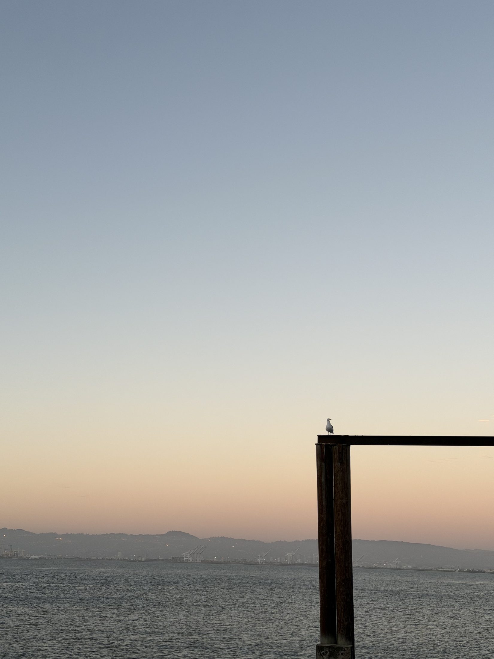 Evening pier.
