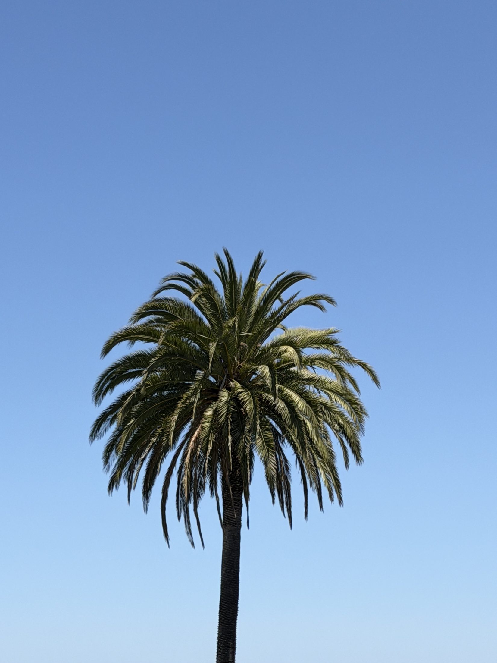 Fanned out.